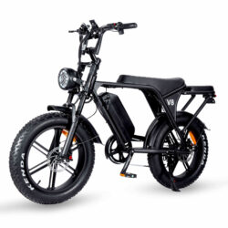 Ouxi V8 (C80) 5.0 2025 model